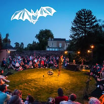 La Symphonie des Chauves-souris