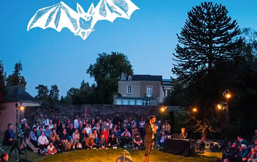 La Symphonie des Chauves-souris