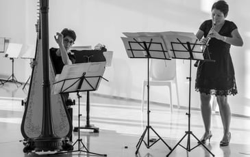 Pause musicale — Ensemble Linea (La Fête au Palais)