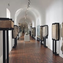 Visite libre du Musée Archéologique