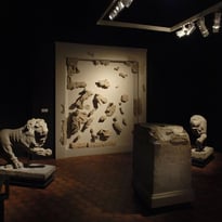 Visite « Coup de projecteur » au Musée archéologique : "Le matrimoine, quelle place au Musée archéologique ?"
