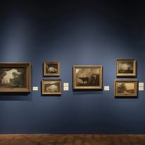 Visite "coup de projecteur" au Musée des Beaux-Arts à partir d'une œuvre de Jan van Huysum
