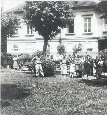 Devenez acteur du patrimoine sélestadien