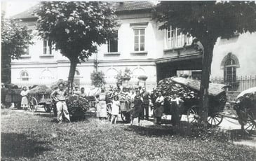 Devenez acteur du patrimoine sélestadien