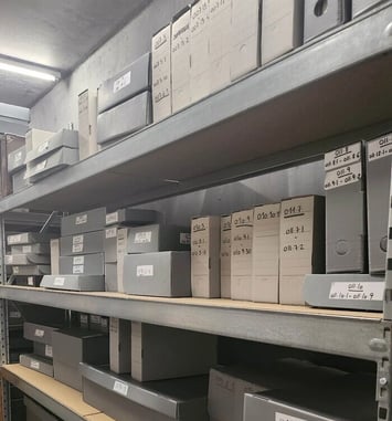À la découverte des collections