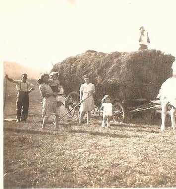 Histoire de la ferme