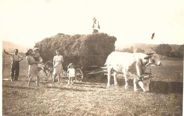 Histoire de la ferme