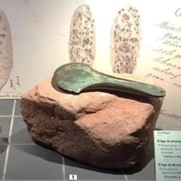 Visite libre d'un musée archéologique