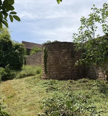 Journées du Patrimoine 2026 à Wangen : « Patrimoine en péril : raviver, résister, réinventer »
