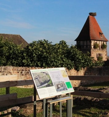 Découverte du Jardin Archéologique : trésors de l'époque médiévale