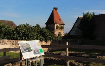 Découverte du Jardin Archéologique : trésors de l'époque médiévale