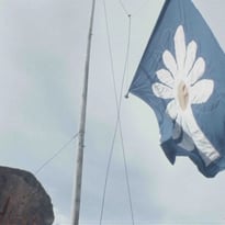 Mémoires d'une zone à défendre