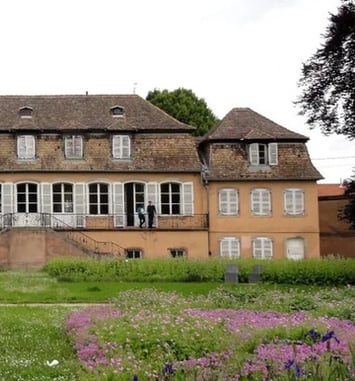Découverte de l'ancien château Klinglin