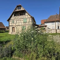 Visite à travers l'histoire du village d'Entzheim