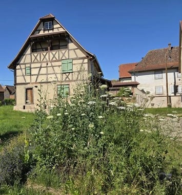 Visite à travers l'histoire du village d'Entzheim
