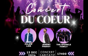 Le Concert du Coeur avec Jérémy Frérot, Julien Lieb & The Sparkle Family