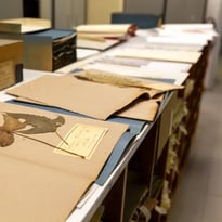 Création et gestion d'un herbier scientifique : un travail de fourmi !