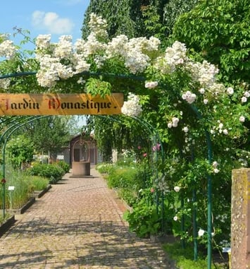 Visite du jardin monastique de Saint-Trophime