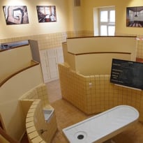 Le patrimoine de l'institut d'anatomie pathologique