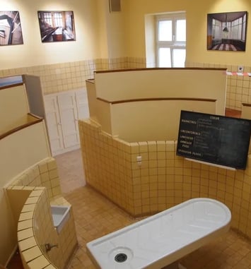 Le patrimoine de l'institut d'anatomie pathologique
