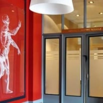 Les collections de l'Institut d'anatomie normale