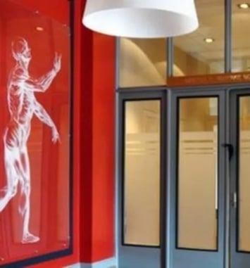 Les collections de l'Institut d'anatomie normale