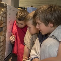 Visite guidée : du musée à la villa