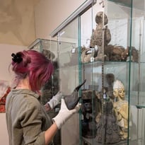 Visites guidées de l'exposition temporaire et de nos réserves