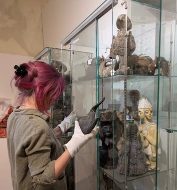 Visites guidées de l'exposition temporaire et de nos réserves