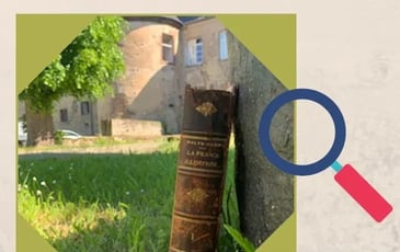 Jeu de piste: A la recherche du livre perdu de la comtesse Sophie