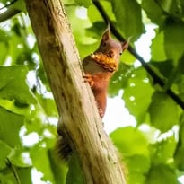 A la rencontre de la biodiversité