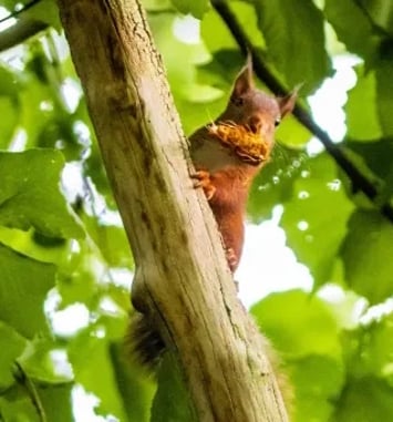 A la rencontre de la biodiversité