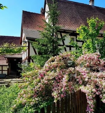 Visite et animations à la Maison Rurale de l'Outre-Forêt