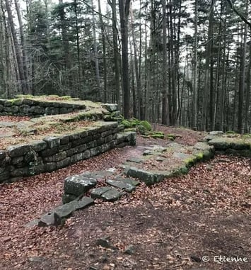 Ateliers et visites guidées sur la porte sud du mur païen