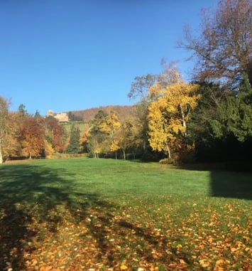 Visite commentée du parc du manoir de Kintzheim