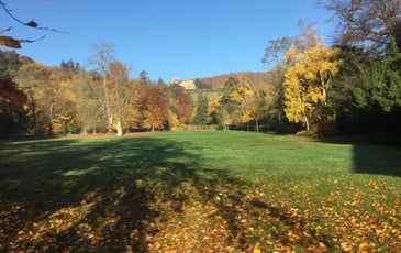 Visite commentée du parc du manoir de Kintzheim