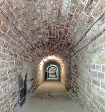 Visite guidée du Fort Kléber