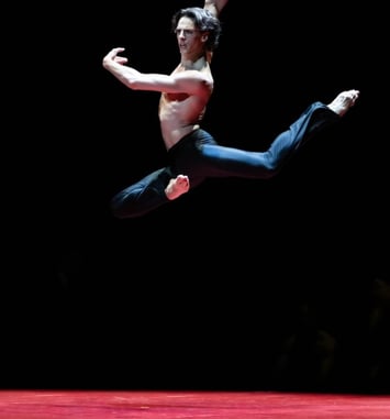 Gala du Ballet