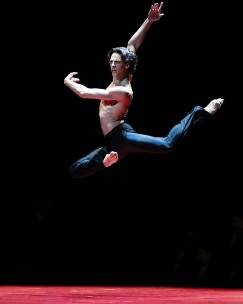 Gala du Ballet