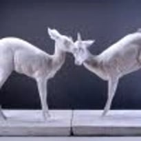 “L'état sauvage” : l'animal dans les collections...