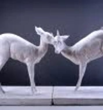 “L'état sauvage” : l'animal dans les collections...