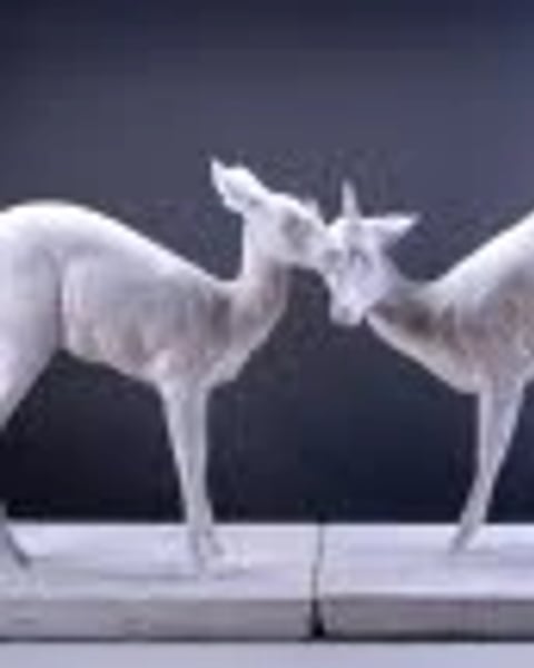 “L'état sauvage” : l'animal dans les collections...