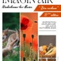 Exposition de photographies en plein air