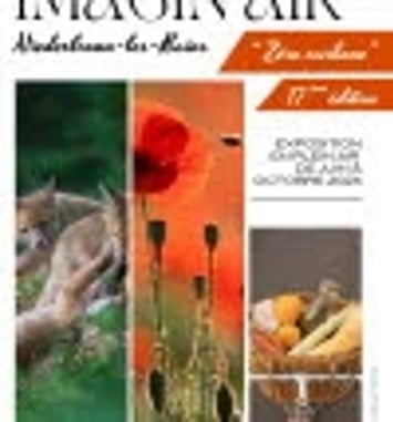 Exposition de photographies en plein air