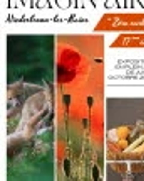Exposition de photographies en plein air