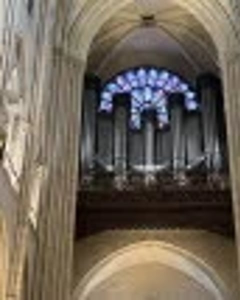 Sauver l'Orgue de Notre-Dame de Paris