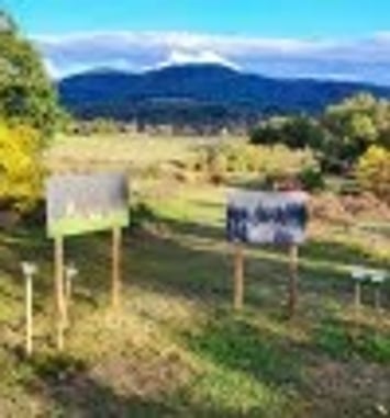 Biodiversité à Ciel Ouvert