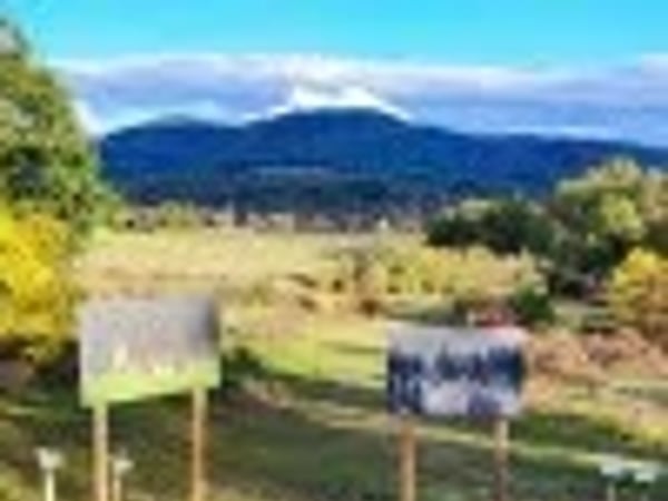 Biodiversité à Ciel Ouvert