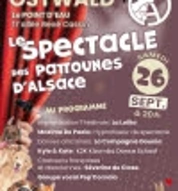 Le Spectacle des Pattounes d'Alsace