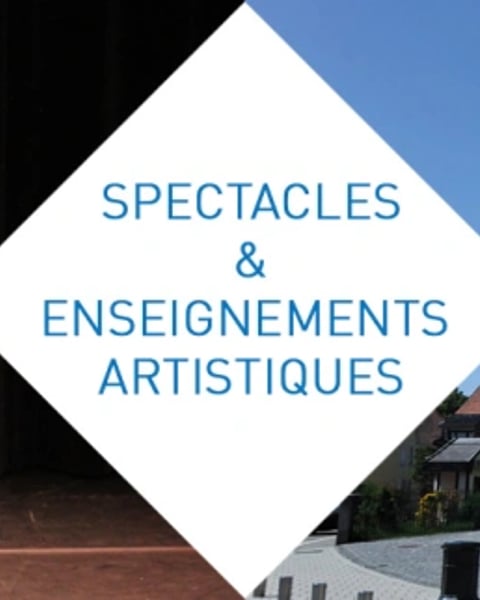 La Maison Des Arts De Lingolsheim